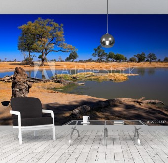 Picture of Water hole in Africa Tipical African ladscape with dark blue sky Water lake in Botswana Trees with pond